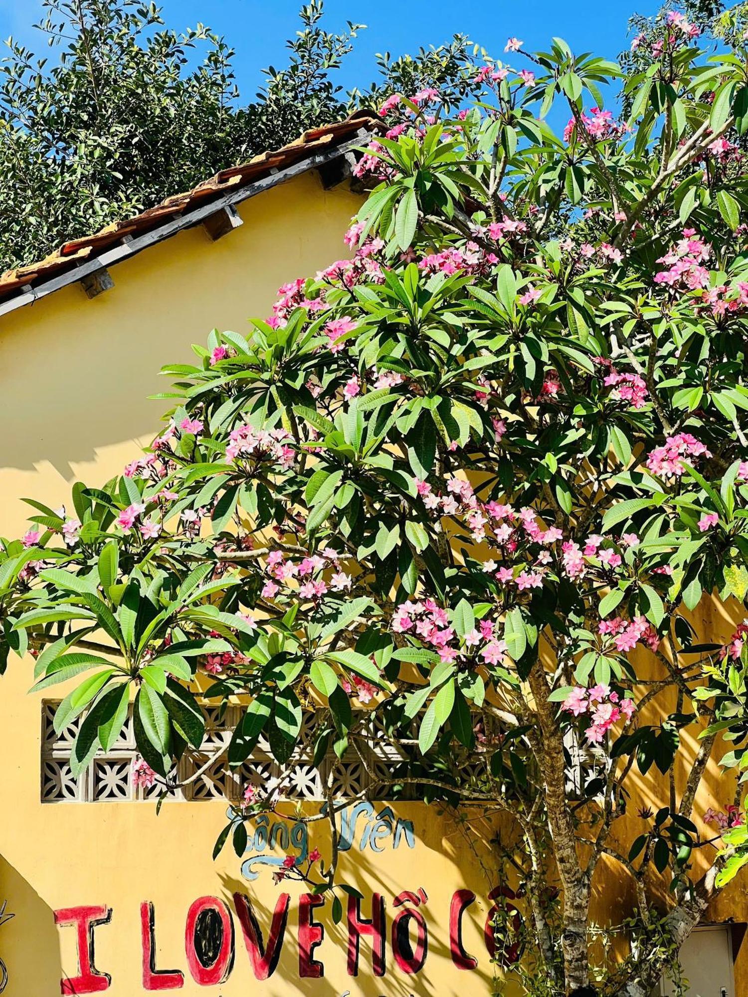 Xa Nhu Lam Ho Coc Park & Resort מראה חיצוני תמונה