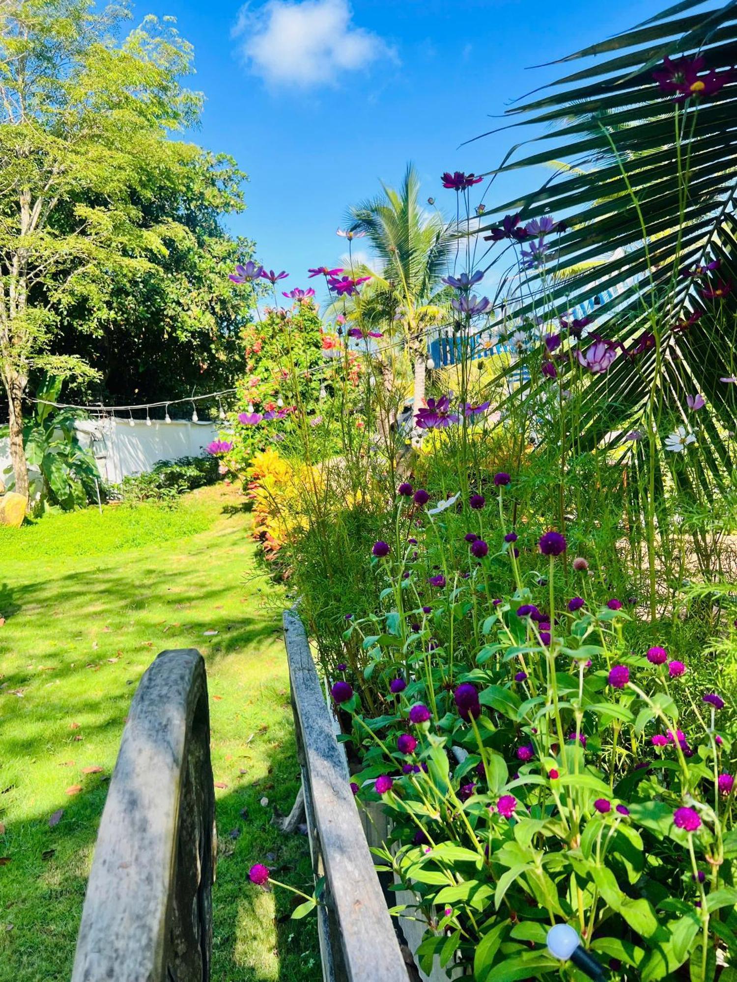Xa Nhu Lam Ho Coc Park & Resort מראה חיצוני תמונה
