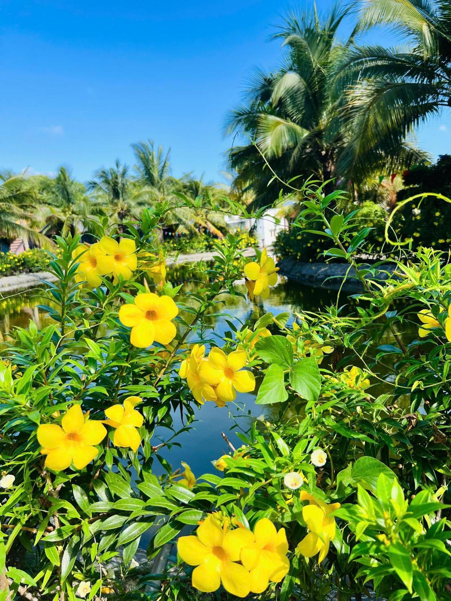 Xa Nhu Lam Ho Coc Park & Resort מראה חיצוני תמונה