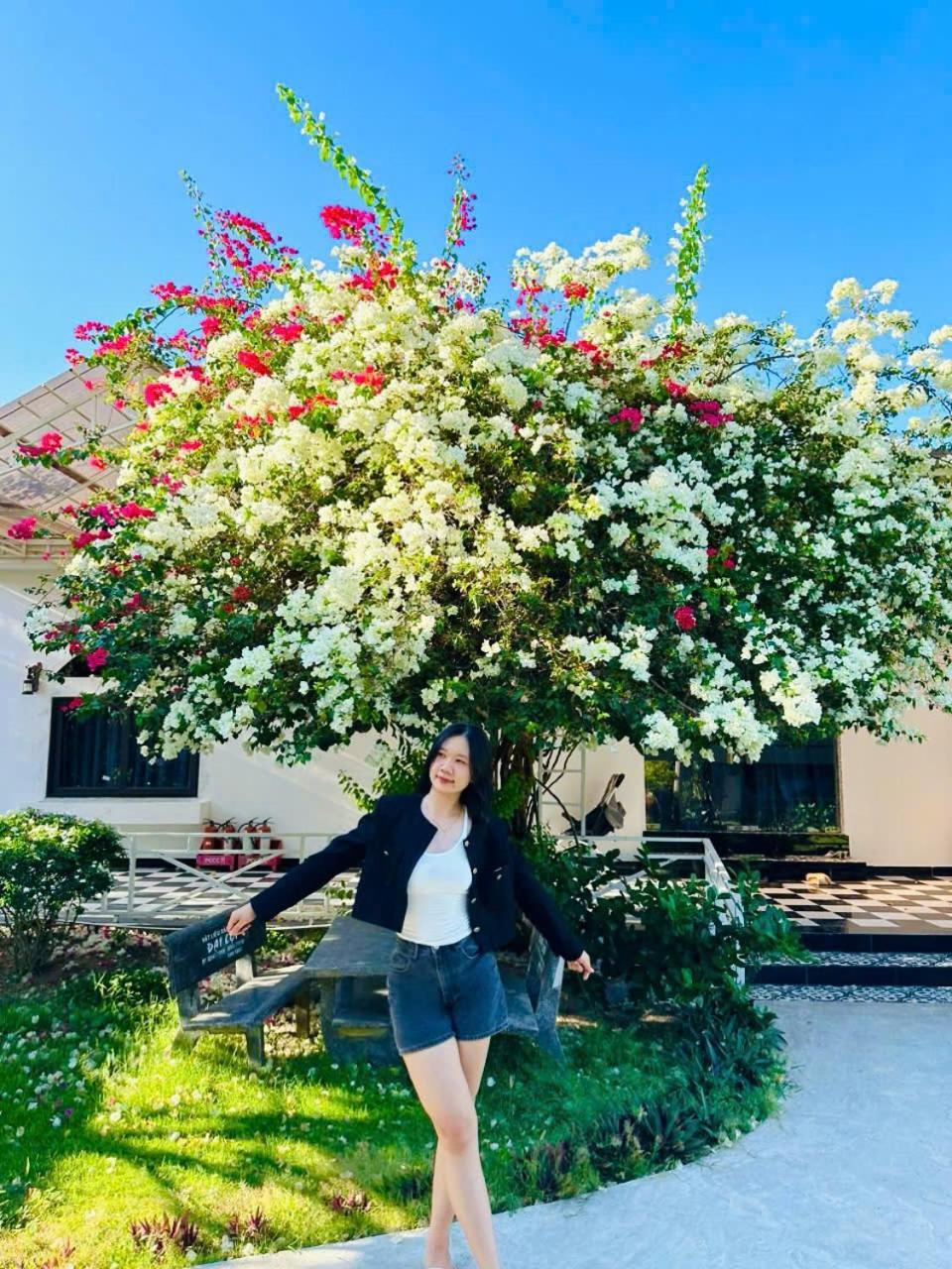 Xa Nhu Lam Ho Coc Park & Resort מראה חיצוני תמונה