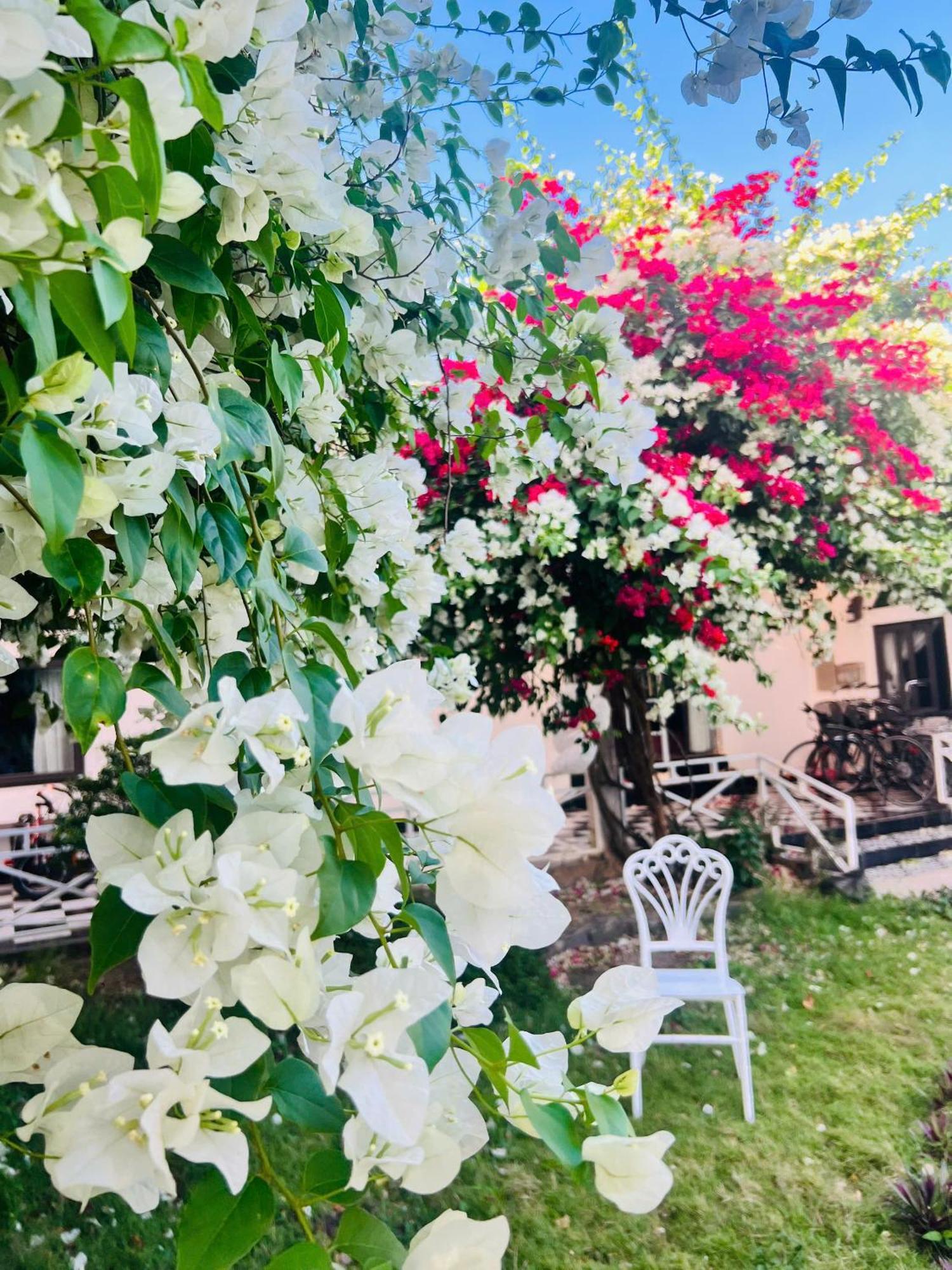 Xa Nhu Lam Ho Coc Park & Resort מראה חיצוני תמונה