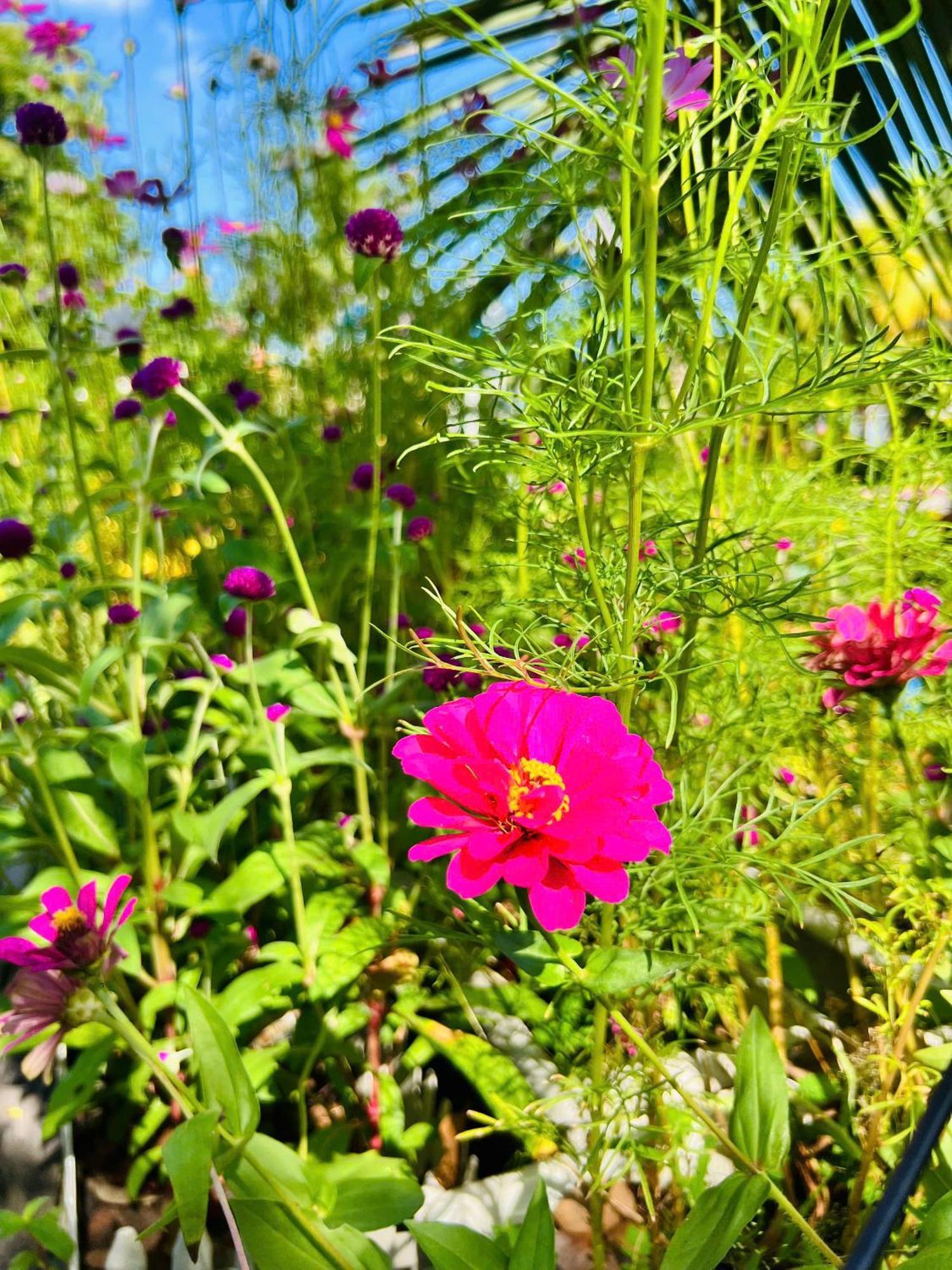 Xa Nhu Lam Ho Coc Park & Resort מראה חיצוני תמונה