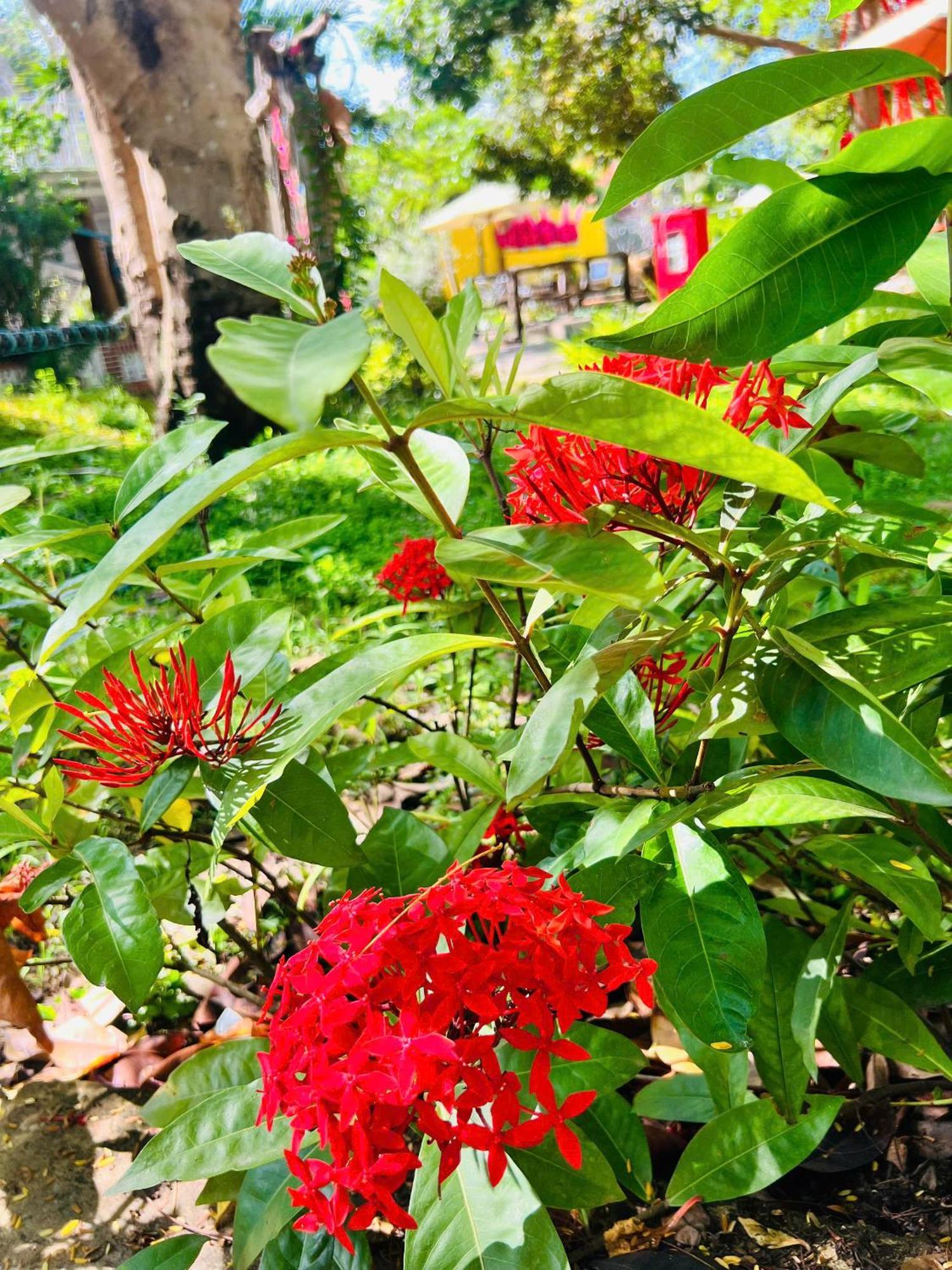 Xa Nhu Lam Ho Coc Park & Resort מראה חיצוני תמונה