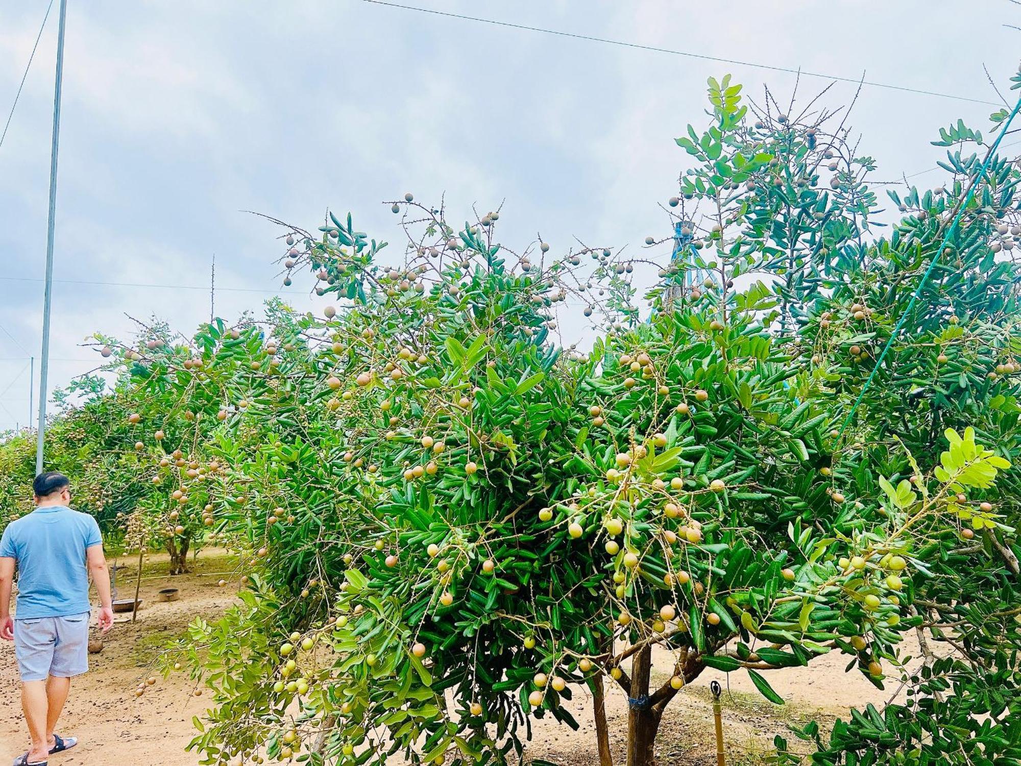 Xa Nhu Lam Ho Coc Park & Resort מראה חיצוני תמונה