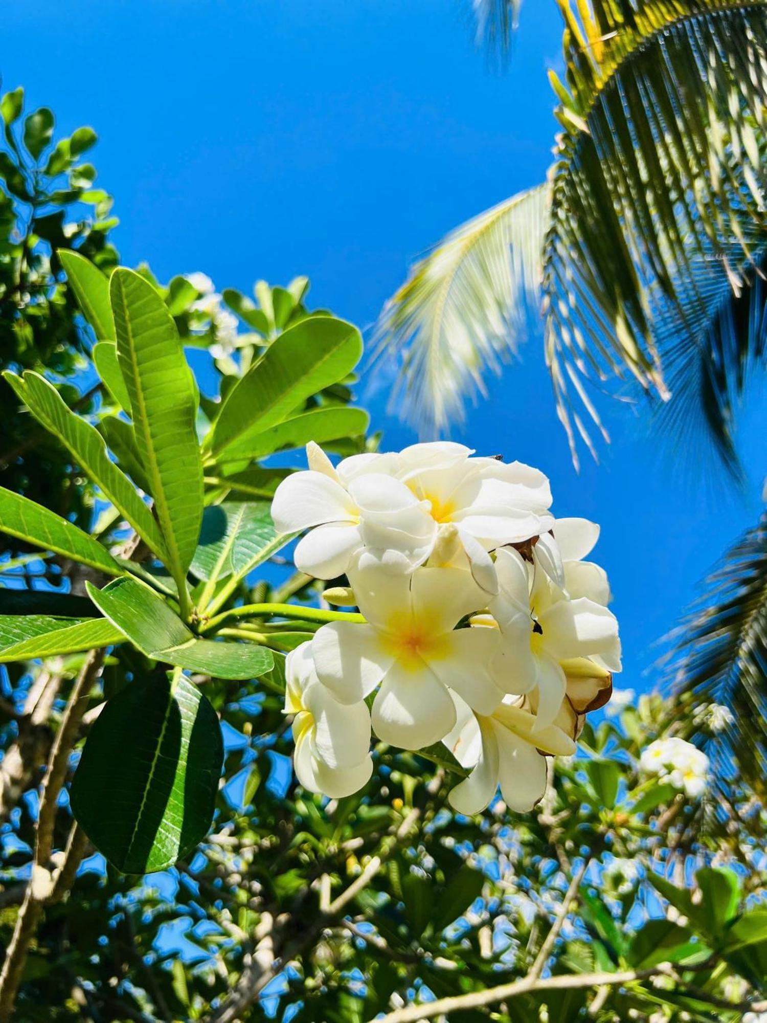 Xa Nhu Lam Ho Coc Park & Resort מראה חיצוני תמונה